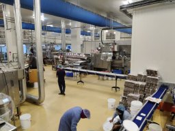 Polar Ice Cream Factory Visit